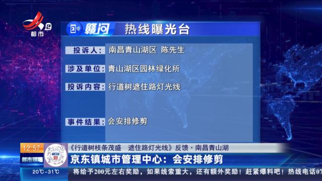 【《行道树枝条茂盛 遮住路灯光线》反馈·南昌青山湖】京东镇城市管理中心：会安排修剪