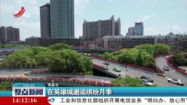 整点新闻20250501 14：00