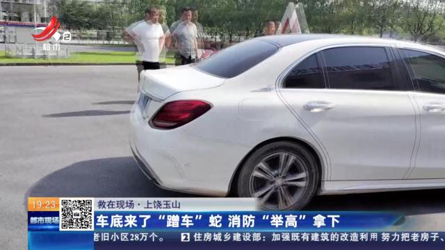 【救在现场】上饶玉山：车底来了“蹭车”蛇 消防“举高”拿下