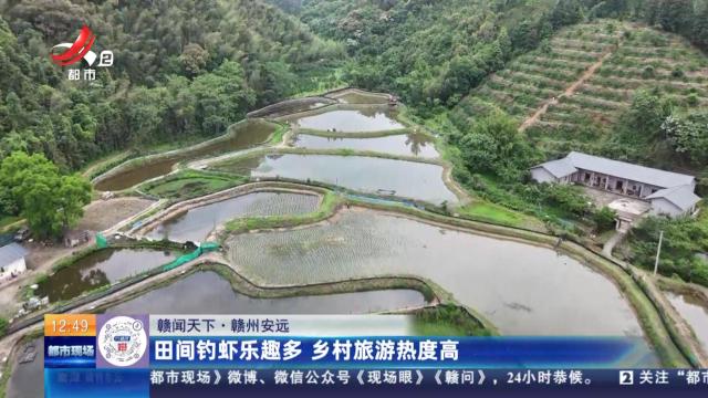 【赣闻天下】赣州安远：田间钓虾乐趣多 乡村旅游热度高