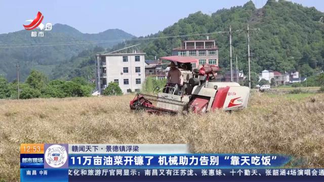 【赣闻天下】景德镇浮梁：11万亩油菜开镰了 机械助力告别“靠天吃饭”