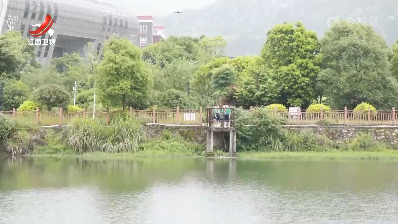 科技赋能防溺水 守护安全新模式