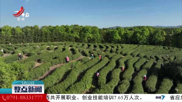 整点新闻20250512 14:00