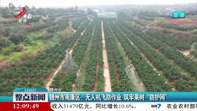 赣州市南康区：无人机飞防作业 筑牢果树“防护网”