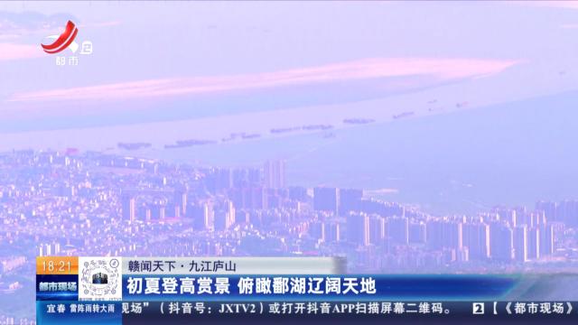 都市现场20250514