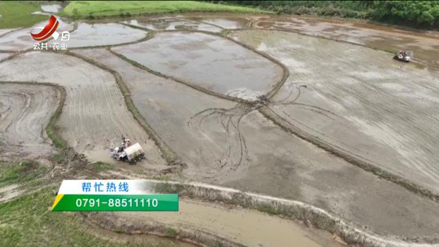 五哥帮忙团20250508