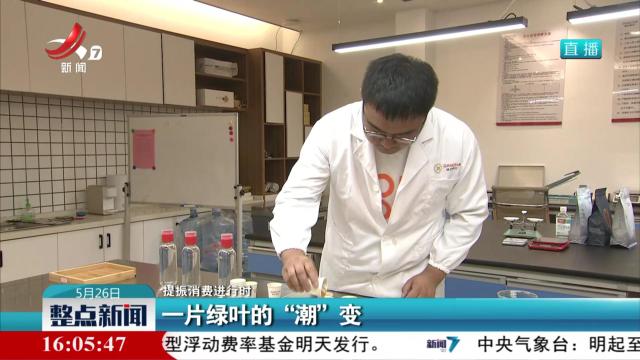 【提振消费进行时】一片绿叶的“潮”变