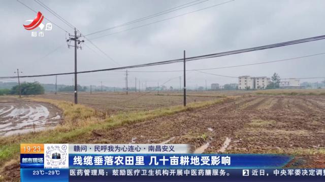 【赣问·民呼我为心连心】南昌安义：线缆垂落农田里 几十亩耕地受影响
