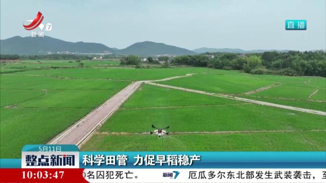 科学田管 力促早稻稳产