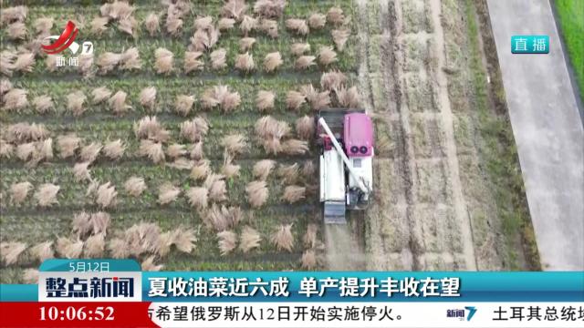 夏收油菜近六成 单产提升丰收在望