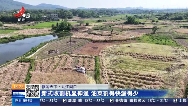 都市现场20250513
