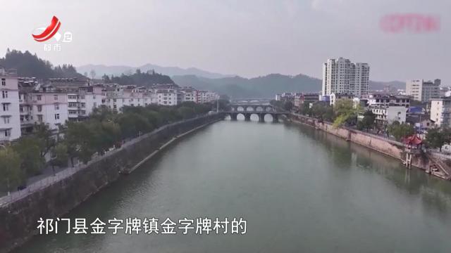 安徽祁门——豌豆糯米饭