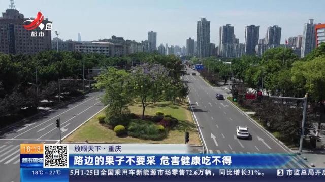 【放眼天下】重庆：路边的果子不要采 危害健康吃不得