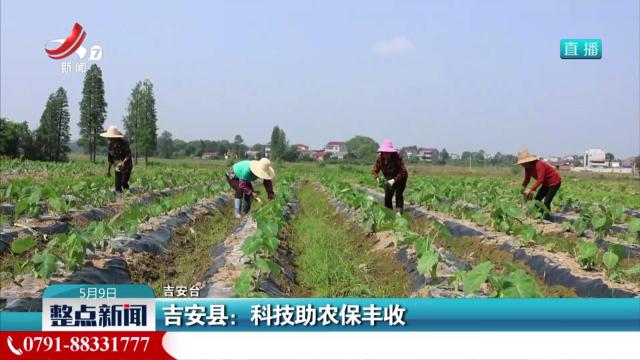 吉安县：科技助农保丰收