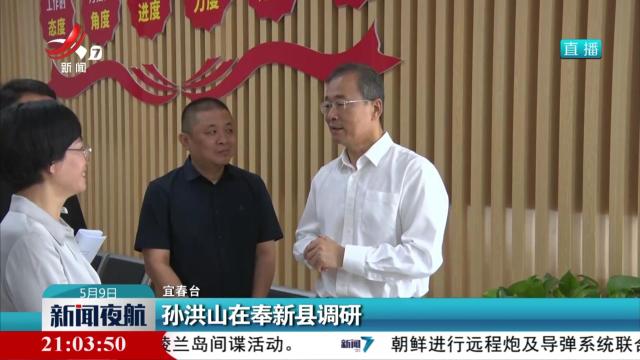 孙洪山在奉新县调研