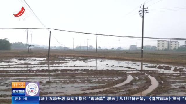 【直播连线·赣问·我为群众办实事】南昌安义：线缆掉到农田里 几十亩耕地受影响