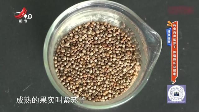 健康提醒：药食两用紫苏子 降脂降压益健康