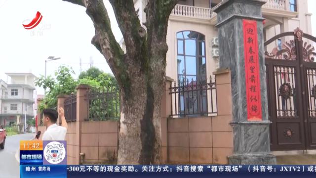 【直播连线·赣问·我为群众办实事】上饶余干：大树枯死多年 有安全隐患盼清理