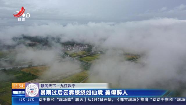 【赣闻天下】九江武宁：暴雨过后云雾缭绕如仙境 美得醉人