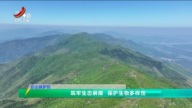 三农头条20250521