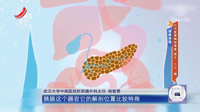 健康提醒：以为是胃病结果是“癌王”小心“胰”