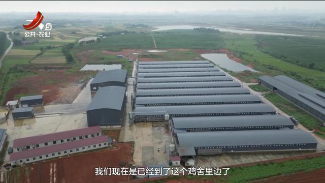 农问20250525