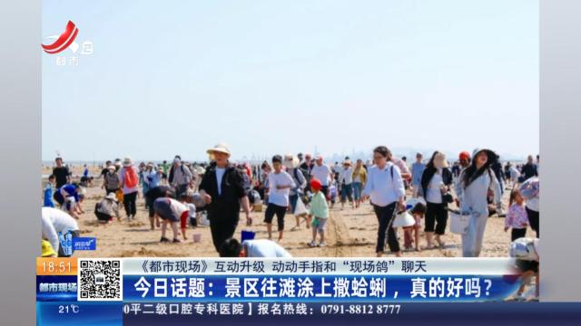 【《都市现场》互动升级 动动手指和“现场鸽”聊天】今日话题：景区往滩涂上撒蛤蜊，真的好吗？