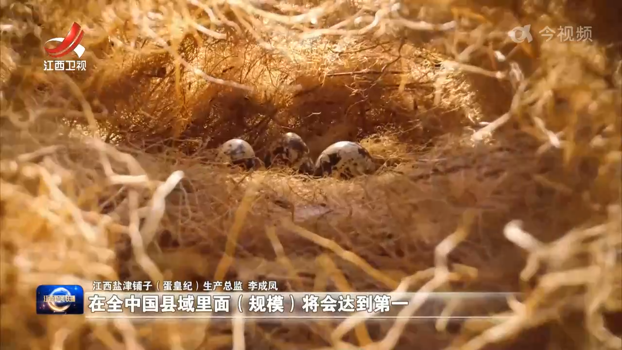 【做好“土特产”文章 建设现代化大产业】一枚鸟蛋 “孵”出五亿元大产业