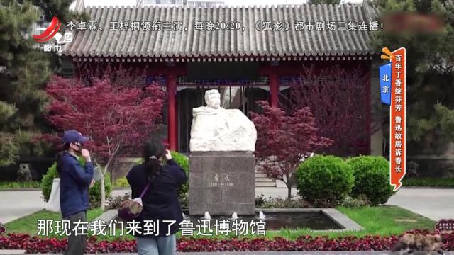 北京——百年丁香绽放芬芳 鲁迅故居诉春长