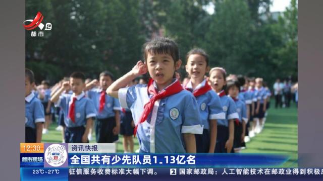 全国共有少先队员1.13亿名