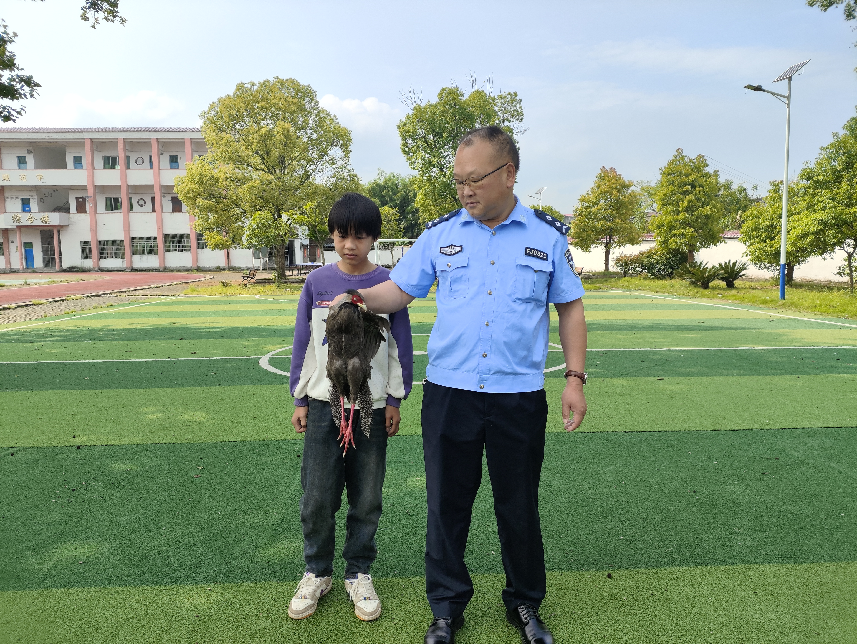 乐安县南村中学学生携手救助国家二级保护动物白鹇