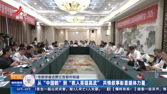 【专家学者点赞江西都市频道】从“中国鹤”到“救人英雄高武” 共情叙事彰显媒体力量