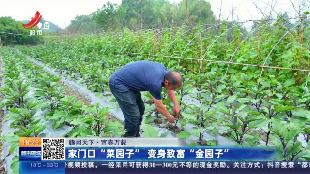 【赣闻天下】宜春万载：家门口“菜园子” 变身致富“金园子”