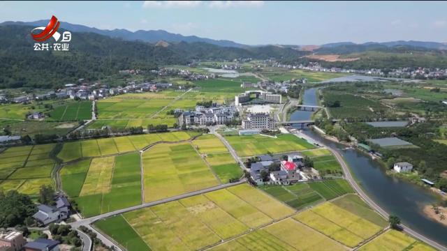 三农头条20250519