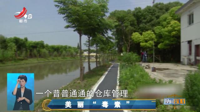 晚间800 20250509 美丽“毒素”