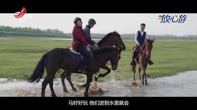 都市放心游·玩达人vlog：马背上的快意人生