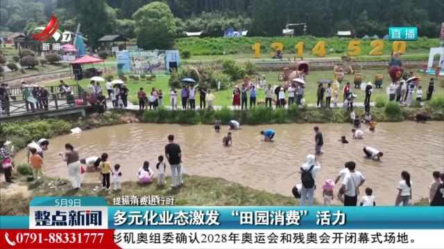 【提振消费进行时】多元化业态激发“田园消费”活力