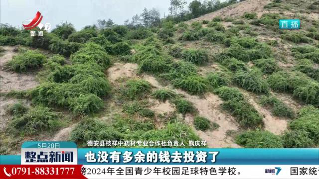 【改革在身边】江西：破解林改新型业态确权难 金融资本入山难