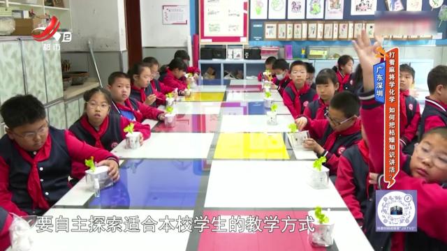 地宝当家20250527