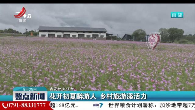 花开初夏醉游人 乡村旅游添活力
