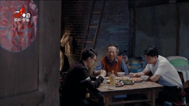 乡村栏目剧场20250509 故乡的新路