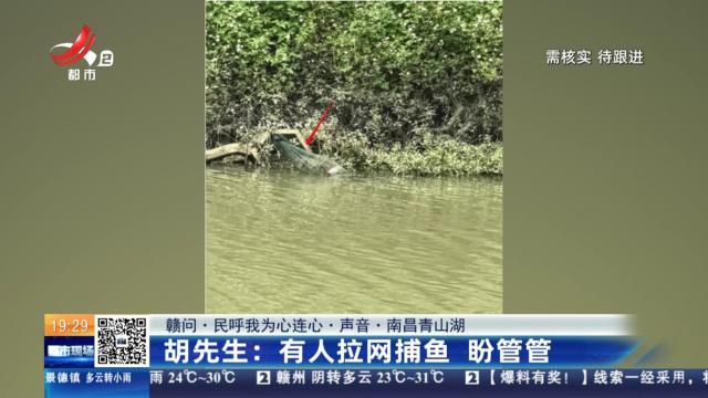 【赣问·民呼我为心连心·声音·南昌青山湖】胡先生：有人拉网捕鱼 盼管管