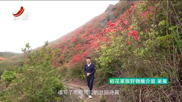 稻花香里20250521 江西有好物 翠微三甲米酒——客家米酒醇香远