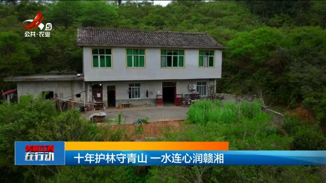 美丽江西在行动20250518 十年护林守青山 一水连心润赣湘
