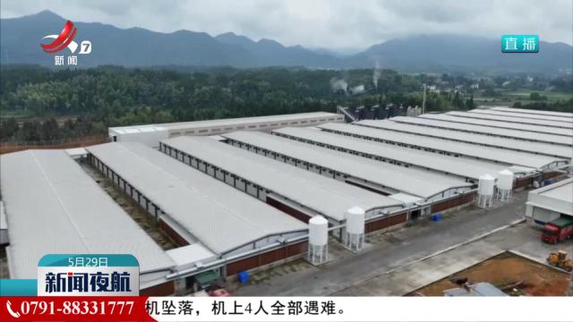 【做好“土特产”文章 建设现代化大产业】一枚鸟蛋“孵”出五亿元大产业