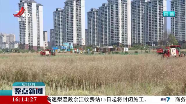 整点新闻20250513 16:00