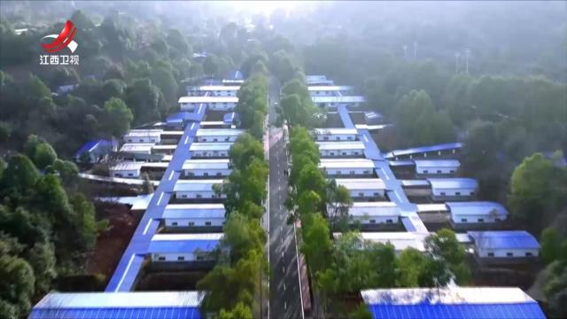 社会传真20250520 一线调研：一朵烟花绽放百亿产业