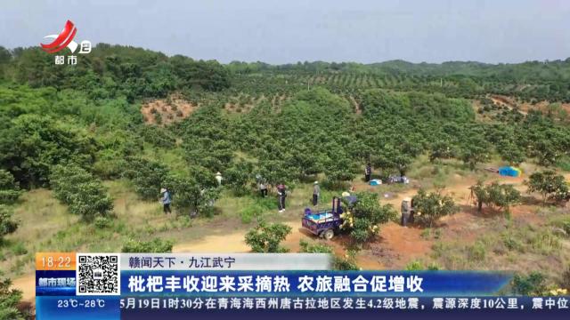 【赣闻天下】九江武宁：枇杷丰收迎来采摘乐 农旅融合促增收