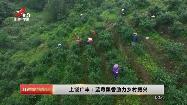 上饶广丰：蓝莓飘香助力乡村振兴