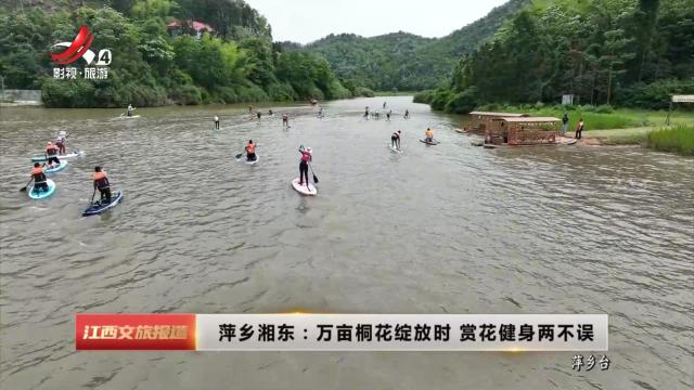 萍乡湘东：万亩桐花绽放时 赏花健身两不误